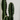 Planta Artificial Cactus 60 cm Decorativo Homilu