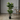 Planta Artificial Ficus Lyrata 120 cm Decorativa Homilu