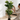 Planta Artificial Ficus Lyrata 120 cm Decorativa Homilu