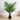Planta Artificial Palma 80 cm Decorativa Homilu