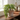 Rama de Helecho Artificial 85 cm Decorativa Homilu