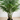 Planta Artificial Palma 80 cm Decorativa Homilu