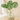 Hoja Artificial De Monstera 54cm Decoración Planta