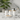 Set De Baño 4 Piezas Dispensador Jabonera Vaso Porta Cepillo