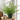 Planta Artificial Helecho 32 cm Decorativa Homilu