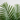 Planta Artificial Palma 80 cm Decorativa Homilu