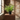 Planta Artificial Helecho 32 cm Decorativa Homilu