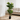 Planta Artificial Ficus Lyrata 120 cm Decorativa Homilu