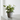Planta Artificial Hiedra 20 cm Decorativa Homilu