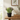 Planta Artificial Lavanda 20 cm Decorativa Homilu
